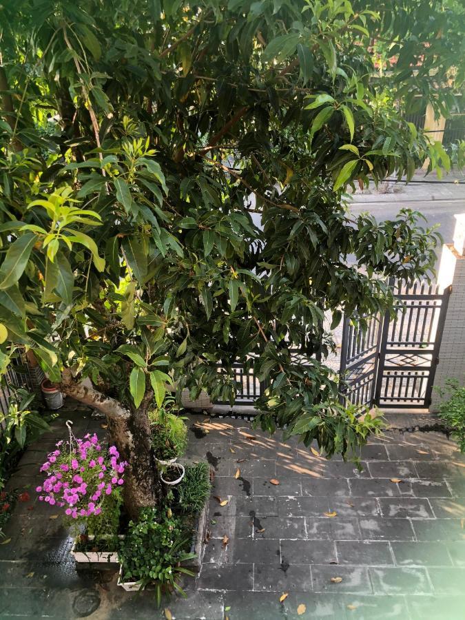 Homestay Phuong House Хойан Экстерьер фото