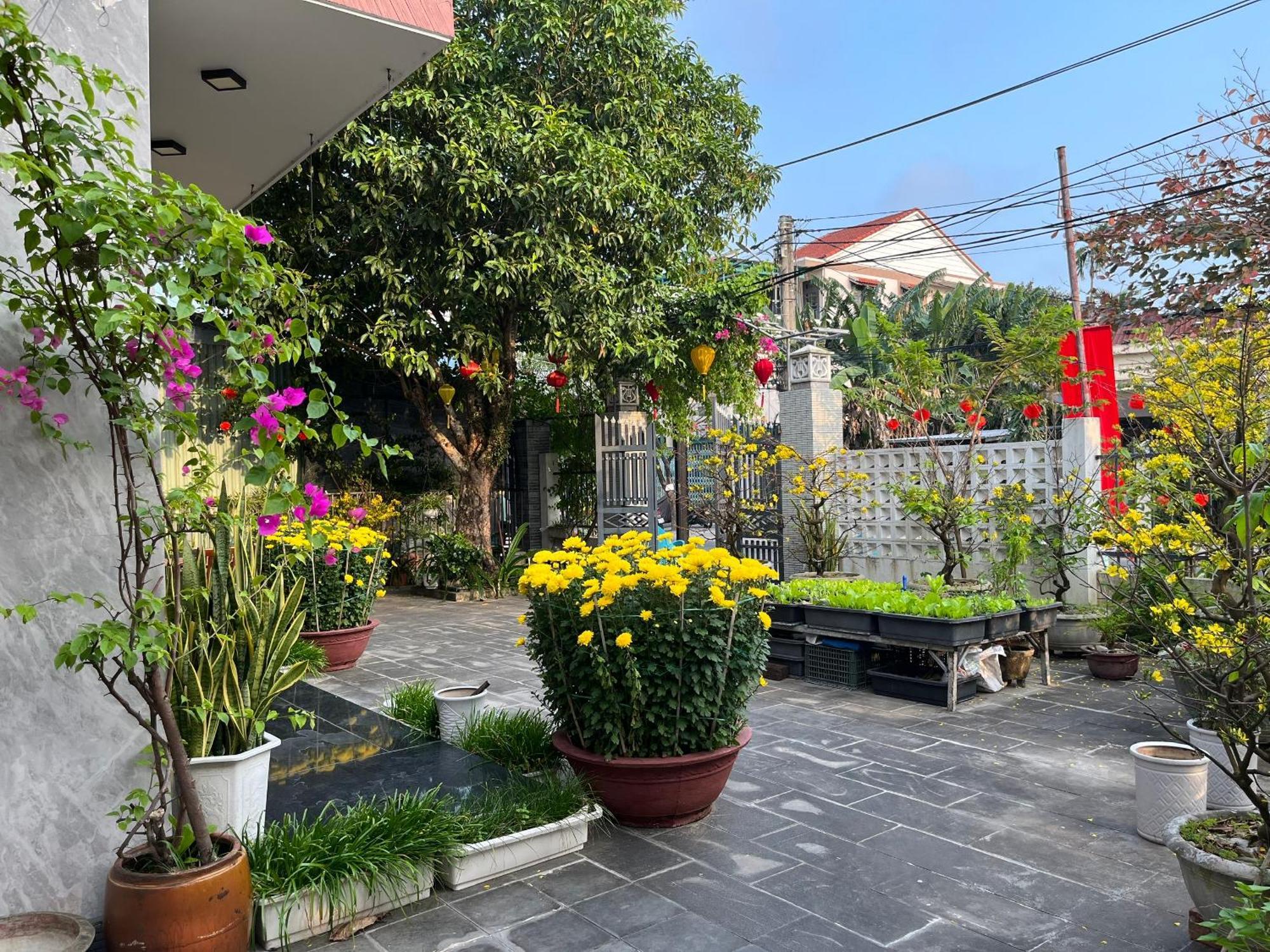 Homestay Phuong House Хойан Экстерьер фото